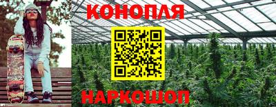 гидра Краснокаменск