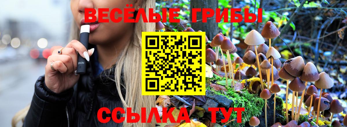 продажа наркотиков  Вход с VPN  Елабуга  Галлюциногенные грибы мицелий 